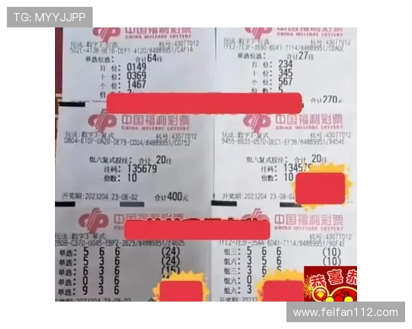 第204期彩票开奖结果正式公布，大奖花落谁家？